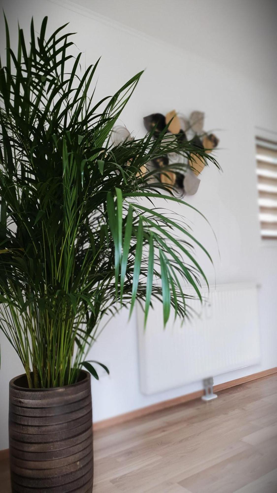Ferienwohnung Blick Ins Gruene Rossleithen Ngoại thất bức ảnh